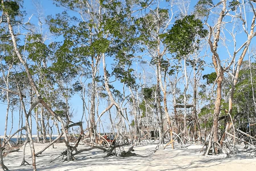 Jericoacoara: Tatajuba Beach Tour - What to bring for a smoother day