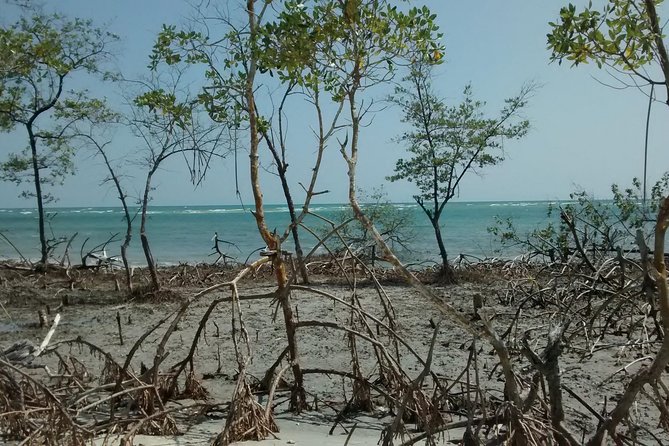 Jericoacoara West Coastal Tour - Mangue Seco: Twenty Minutes For Photos