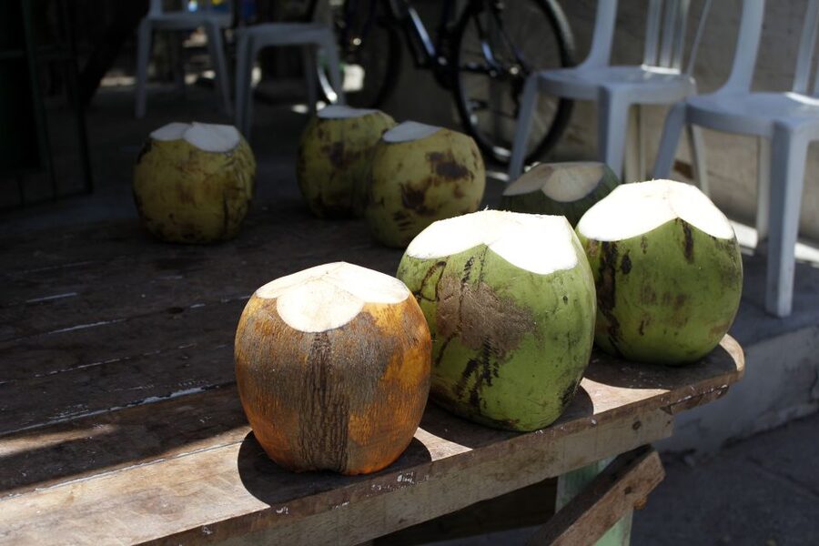Joao Pessoa City Tour - The Paraíba Craft Market and the shopping question