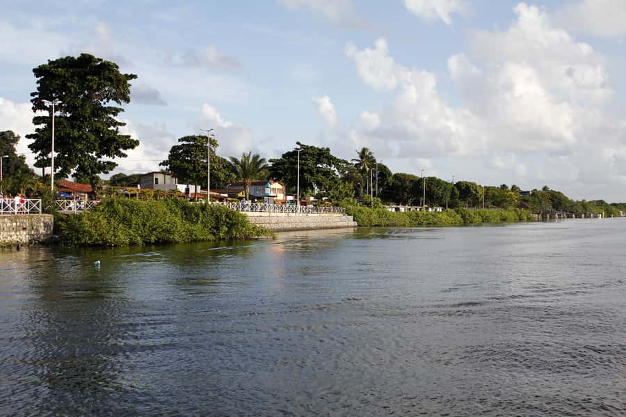 Joao Pessoa Northern Coast Beaches Day Tour - Swimming, seafood, and the practical cost of lunch