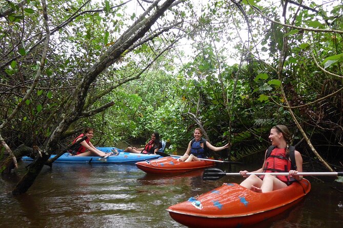 Kayaking Mangroves tour ( Natural Reserve ) - Choosing between the two routes