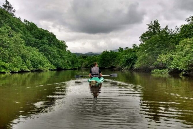 Kayaking to the mangroves - Key points to know before you paddle