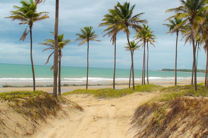 Lagoinha Beach Tour - Time on the beach, dunes, and reefs