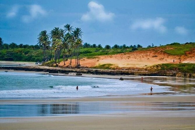 Lagoinha Beach Tour - Guides, drivers, and the human side of the day