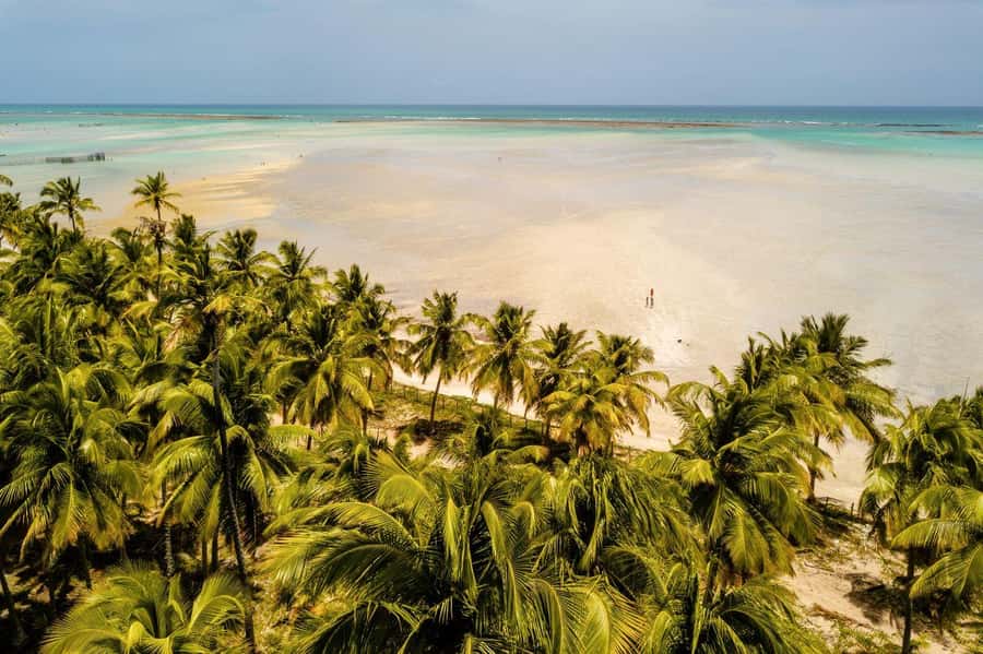 Maceio: Tour to Maragogi Beach - Arriving at the beach restaurant