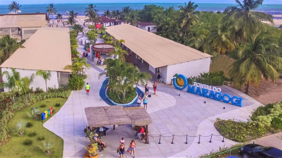 Maceio: Tour to Maragogi Beach - What the beach and reefs offer