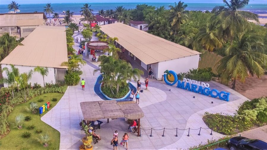 Maceio: Tour to Maragogi Beach - Timing, organization, and the day’s pace