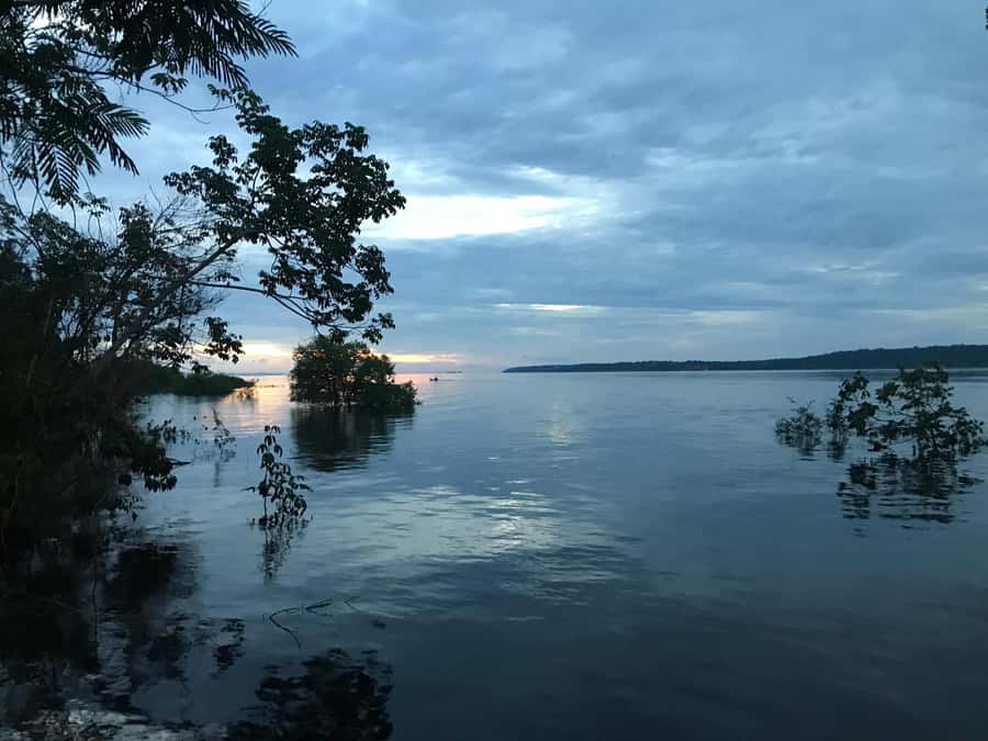 Manaus: 2-Day River Tour With Overnight Stay - Key points to know before booking