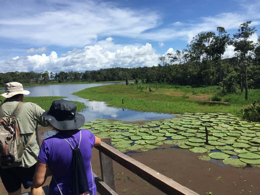Manaus: 2-Day River Tour With Overnight Stay - A night search for caymans