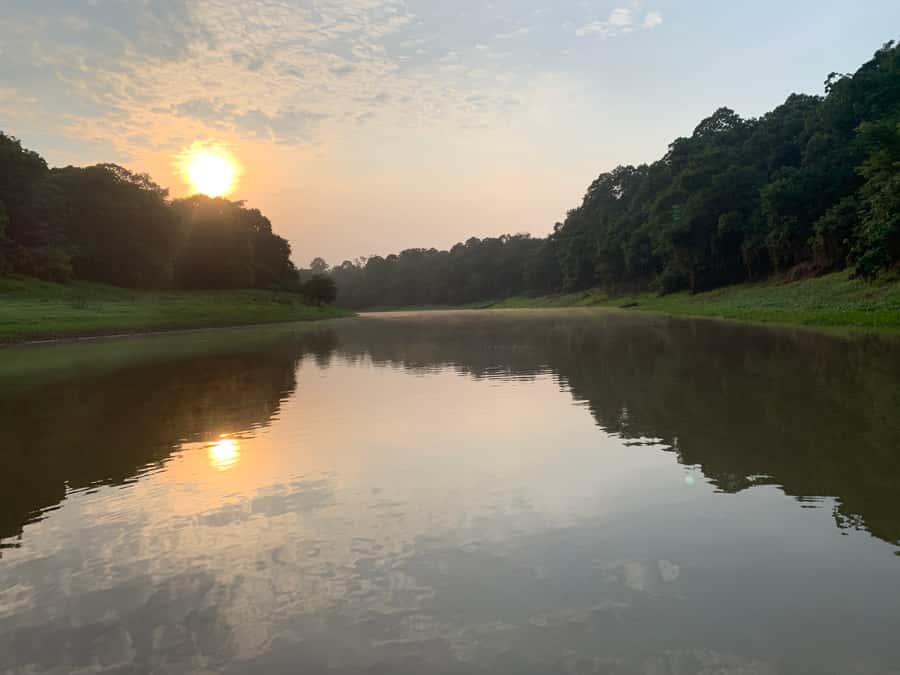 Manaus: 2-Day River Tour With Overnight Stay - Sunrise and the forest waking up