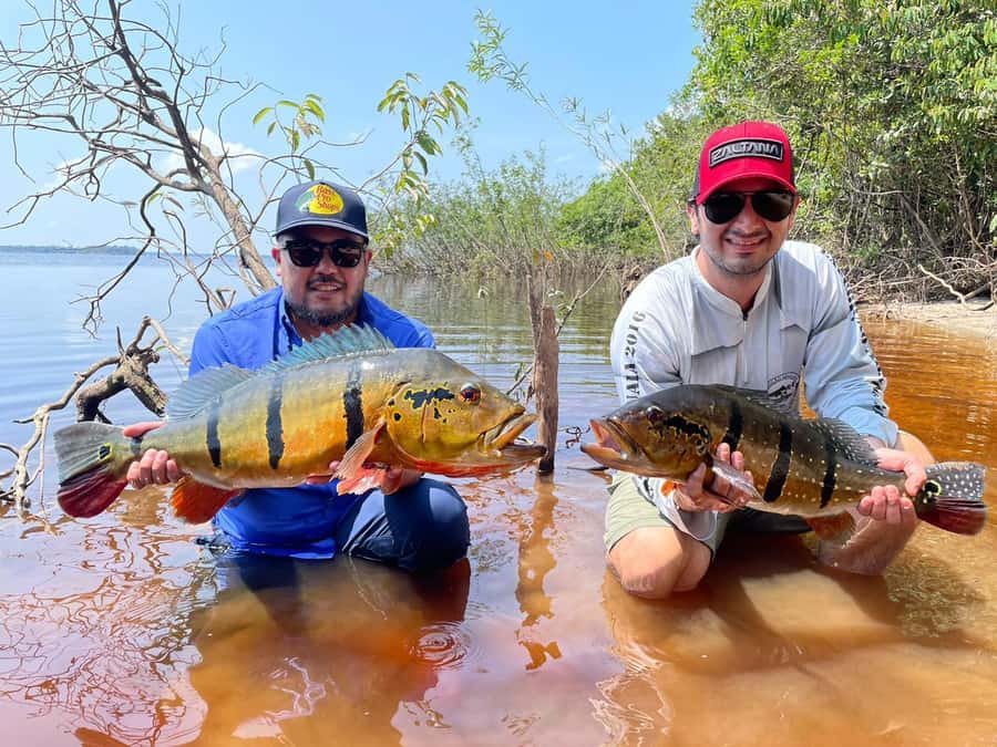 Manaus : A day of fishing on the Rio Negro - Should you book A day of fishing on the Rio Negro?