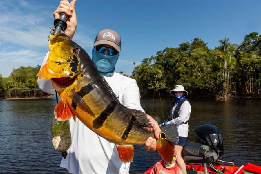 Manaus : A day of fishing on the Rio Negro - Is $286 per person fair?