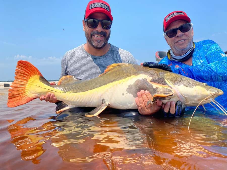 Manaus : A day of fishing on the Rio Negro - Fishing on the urban Rio Negro lake