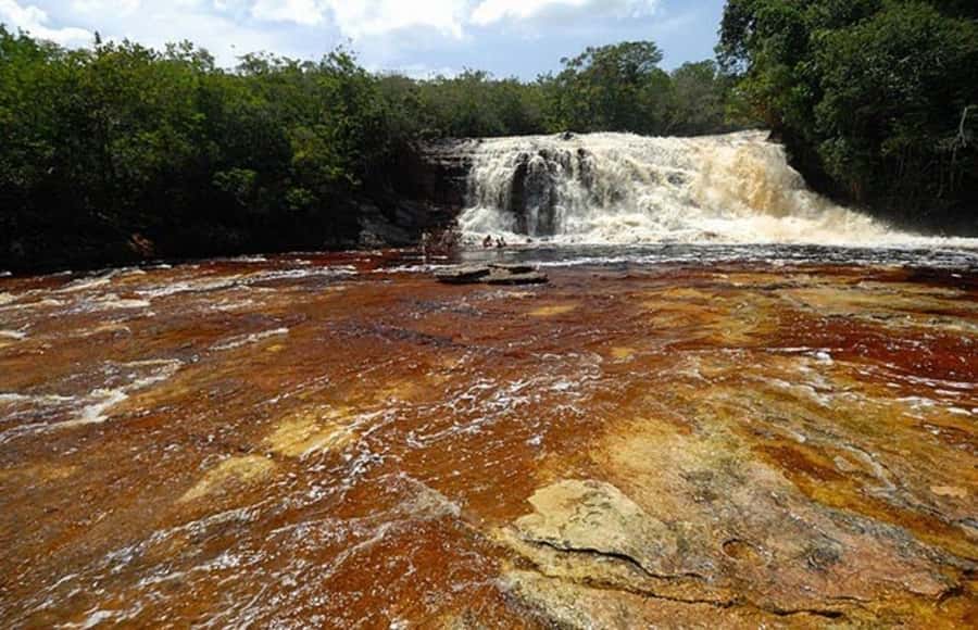 Manaus: Amazon Waterfalls Day Trip with Lunch - Refúgio do Maroaga Cave brings the first swim