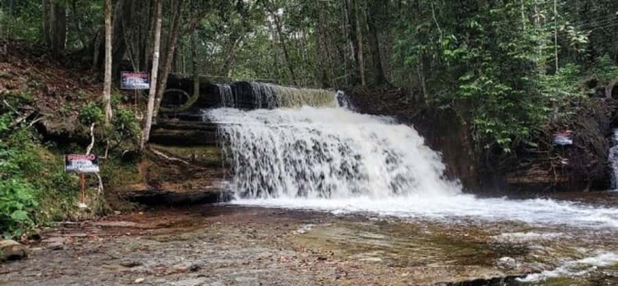 Manaus: Amazon Waterfalls Day Trip with Lunch - Choosing between Asframa and Iracema waterfalls