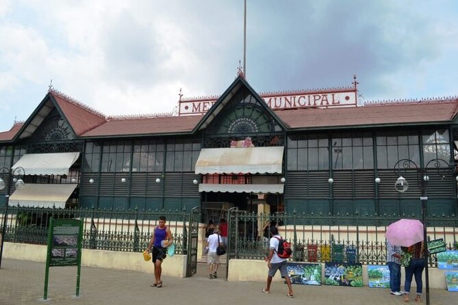 Manaus City Tour e Musa - The Amazonas Theater and Manaus’s grand past