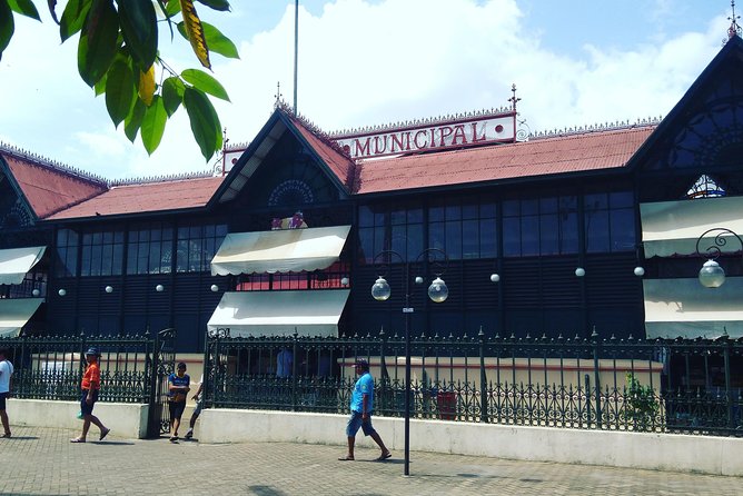 Manaus Full Day Tour, Opera House, Botanic Garden & Beach - Ponta Negra Beach beside the Negro River