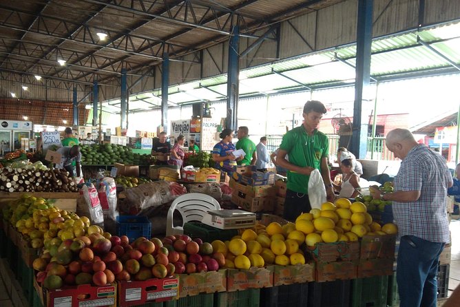 Manaus Full Day Tour, Opera House, Botanic Garden & Beach - MUSA: two hours in a forest fragment