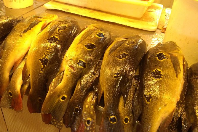 Manaus Full Day Tour, Opera House, Botanic Garden & Beach - Food, water, shoes, and timing