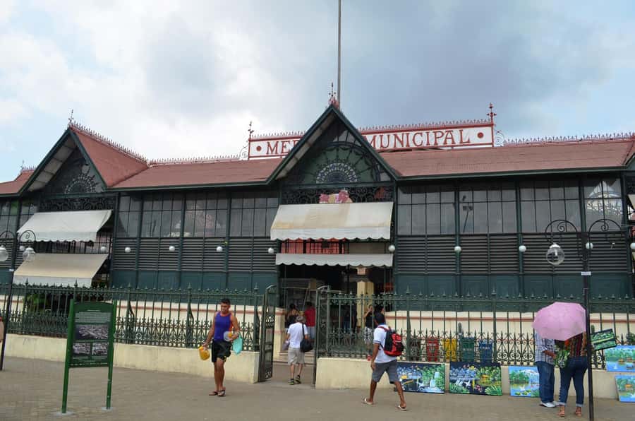 Manaus: Half-Day City Tour - Churches, palaces, the bridge, and Ponta Negra