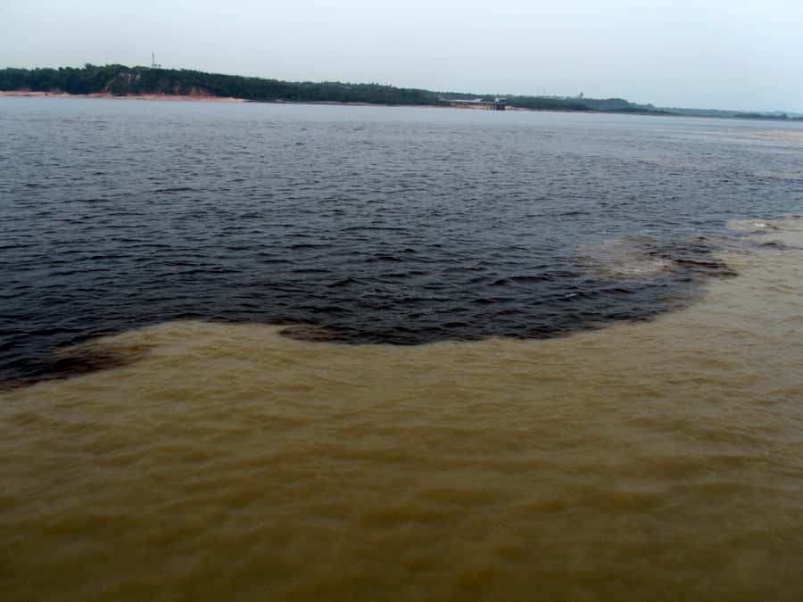 Manaus: Meeting of the Waters & Pink Dolphin Tour with Lunch - Leaving Manaus for the Black River