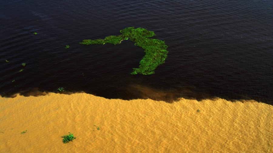 Manaus: Meeting of the Waters & Pink Dolphin Tour with Lunch - Meeting the Dessanos and Tucanos