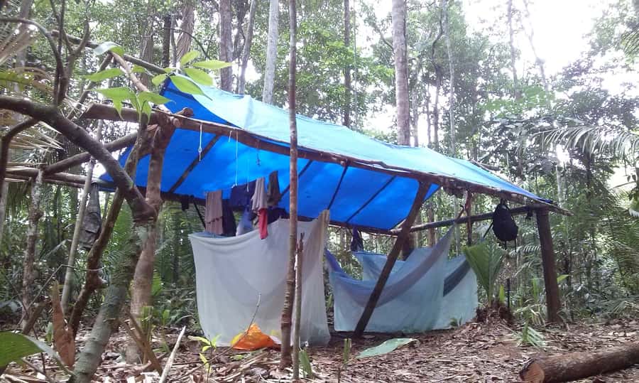 Manaus: Multi-Day Amazon Survival Trip with Camping - A 5:30 am canoe ride through the waking forest