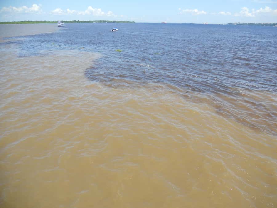 Manaus: Multi-Day Amazon Trip at Tapiri Floating Lodge - Reaching Tapiri Floating Lodge from Manaus