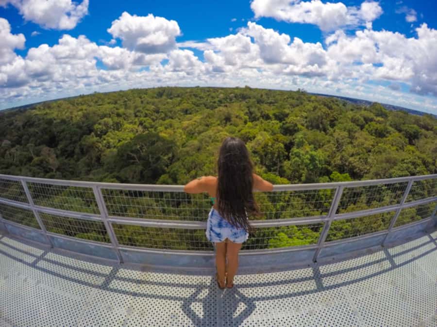 Manaus: MUSA and INPA Museums with Observation Tower Tour - What this Manaus forest tour actually includes