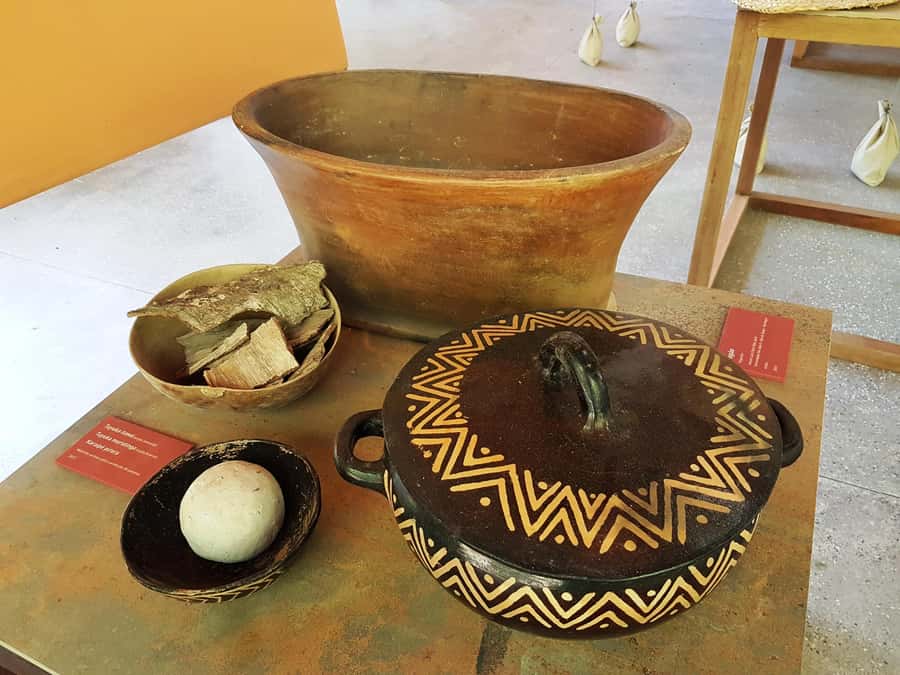 Manaus: MUSA and INPA Museums with Observation Tower Tour - Walking the forest trails