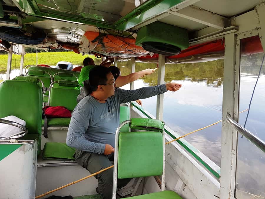 Manaus: Piranha Fishing and Alligator Watch Evening Tour - Key points to know before booking