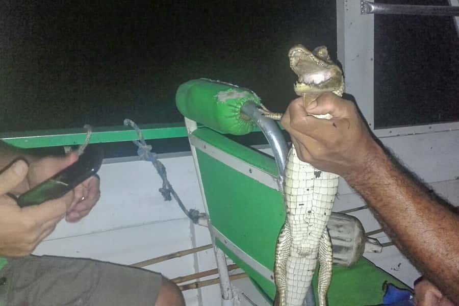 Manaus: Piranha Fishing and Alligator Watch Evening Tour - Clothing and practical comfort