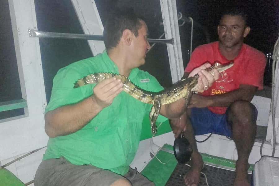 Manaus: Piranha Fishing and Alligator Watch Evening Tour - Should you book the piranha and alligator tour?