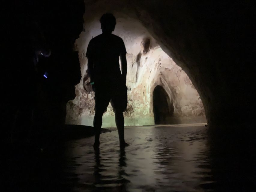 Manaus: Presidente Figueiredo Caves and Waterfalls Tour - Who will get the most from this tour