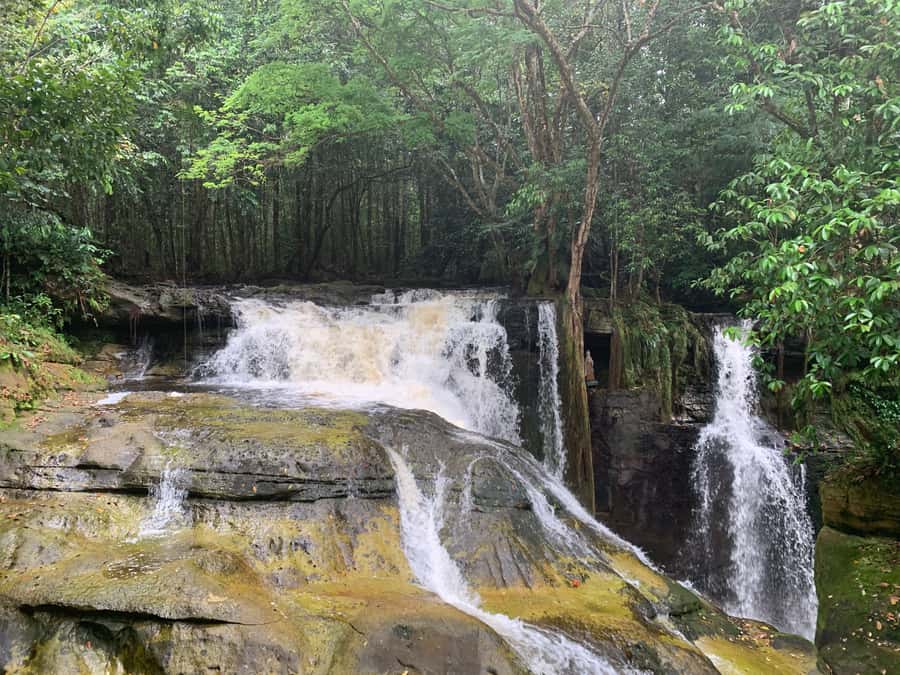 Manaus: Presidente Figueiredo Caves and Waterfalls Tour - Iracema Park and the first jungle walk