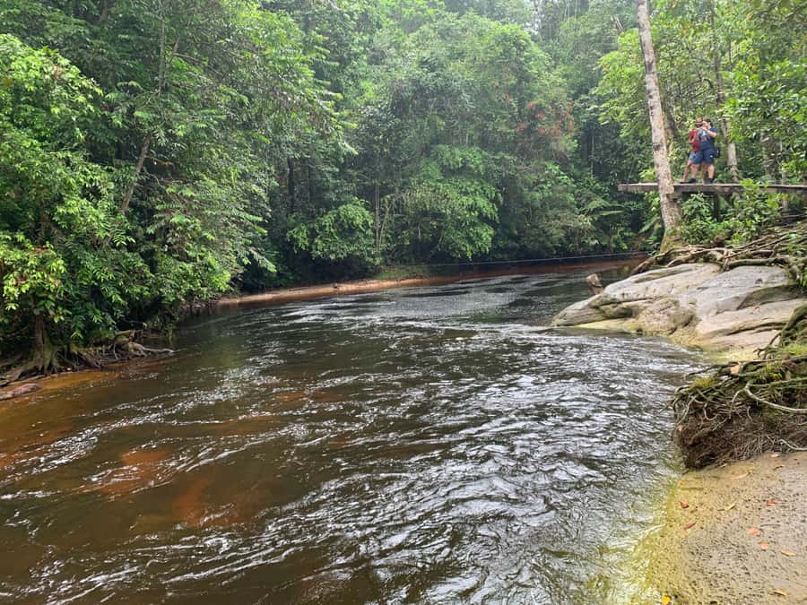 Manaus: Presidente Figueiredo Caves and Waterfalls Tour - Caves used for films and documentaries