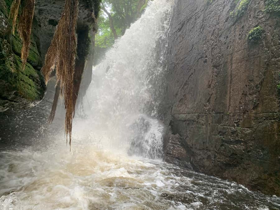 Manaus: Presidente Figueiredo Caves and Waterfalls Tour - Waterfall time: swim, rest, and adjust to nature