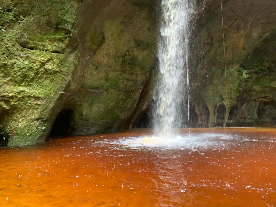 Manaus: Presidente Figueiredo Caves and Waterfalls Tour - Guide quality and group size