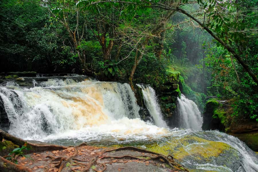 Manaus: Presidente Figueiredo Caves and Waterfalls Tour - The 8:00 AM pickup and drive north