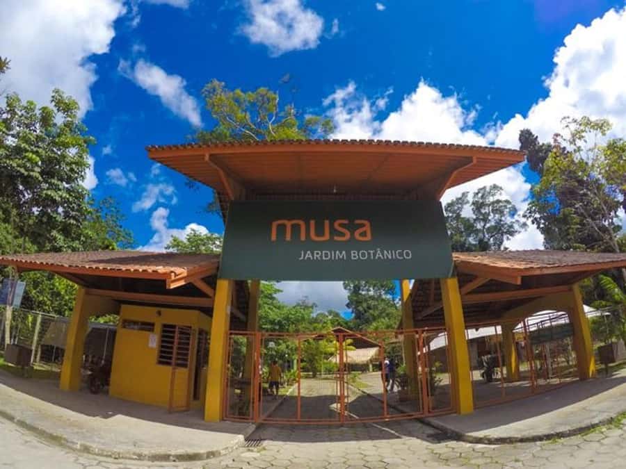 Manaus : Visit to MUSA (Amazon Museum) - Nurseries with snakes, fish, butterflies, and plants