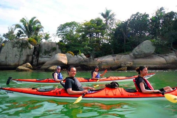 Mangrove and Beach Kayak Tour BY PARATY TOURS - Key points to know before booking