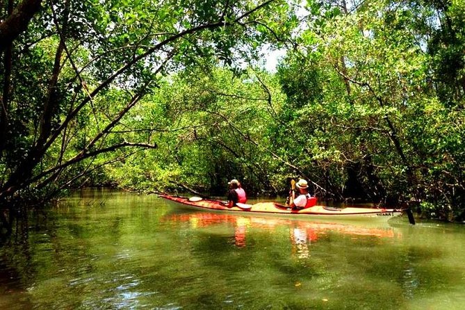 Mangrove and Beach Kayak Tour BY PARATY TOURS - A beach stop for swimming and a break
