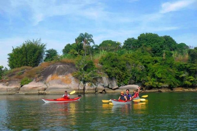 Mangrove and Beach Kayak Tour BY PARATY TOURS - What the guide adds to the morning