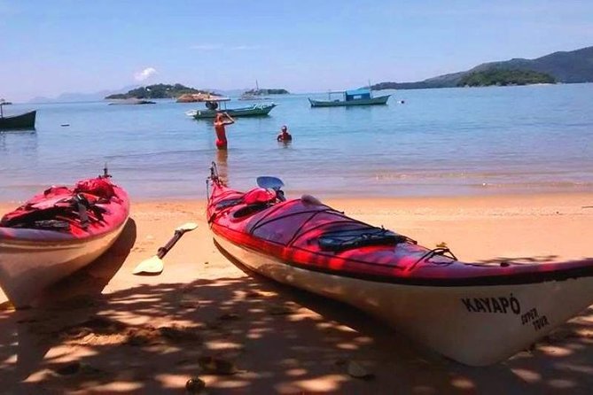 Mangrove and Beach Kayak Tour BY PARATY TOURS - Is $70 a fair price?