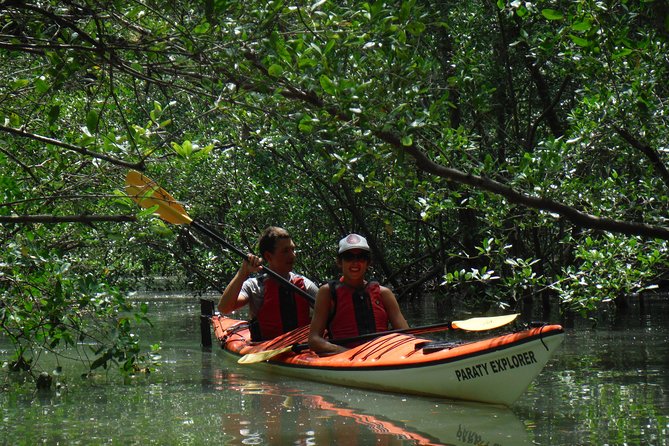 Mangrove, Beaches and Islands by Kayak tour - Setting out from Pontal Beach at 9:00 a.m.