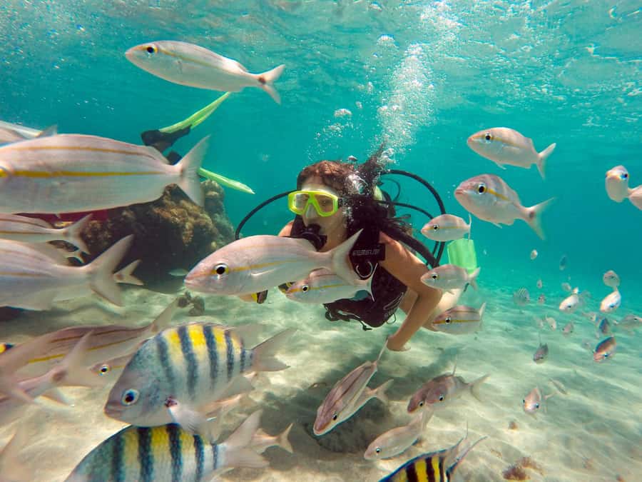 Maracajau Parrachos Reef: Mask and Snorkel swim adventure - Key points to know before you book
