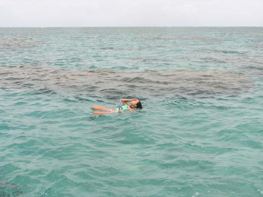 Maracajau Parrachos Reef: Mask and Snorkel swim adventure - Two hours back on shore