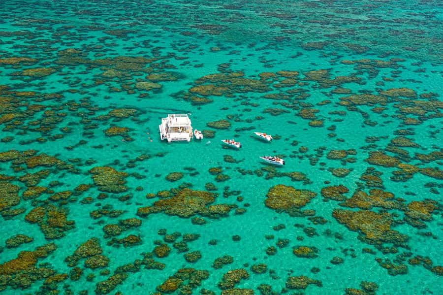 Maracajau Parrachos Reef: Mask and Snorkel swim adventure - Is $203 a fair price?