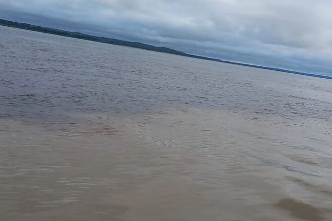 Meeting of the Waters & Pink Dolphin Tour with Lunch - Reaching the Meeting of the Waters from Manaus