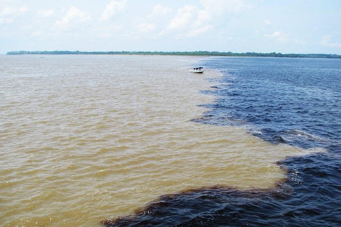 Meeting of the Waters & Pink Dolphin Tour with Lunch - Boat comfort, language, and group size